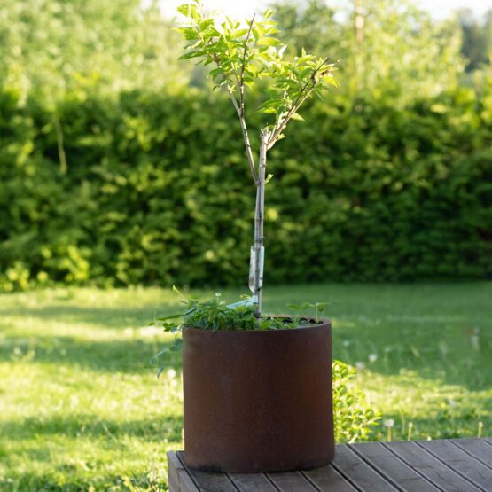 Petteri Wiimaa Corten kukkaruukku Myy-XXL, ø 80 cm